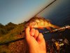 IMG_20180730_195118.jpg