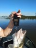 IMG_20180811_185645.jpg