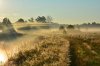 DSC_6591.jpg