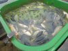 DSC01892.JPG