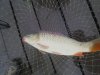 DSC01901.JPG