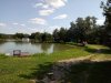 IMG_20180818_132127.jpg