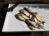 IMG_20180818_131534.jpg