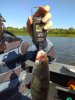 IMG-20180820-WA0008.jpg
