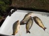IMG_20180823_132722.jpg