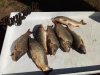 IMG_20180824_145424.jpg
