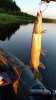 IMG_20180827_185806.jpg