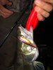 IMG-20180910-WA0029.jpg