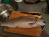 IMG_20180916_184525.jpg
