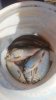 IMG-20180922-WA0005.jpg