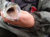 IMG-20180923-WA0005.jpg