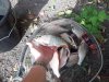20180922_151426.jpg