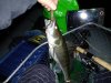 IMG_20180922_204641.jpg