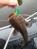 IMG_20180923_171833.jpg
