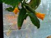 IMG-20180928-WA0041.jpg