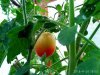 IMG-20180928-WA0035.jpg