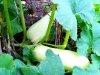 IMG-20180928-WA0040.jpg