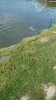 4bb0e4fc-f006-4b70-8f62-0894deb0bcb6.jpg