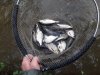 20180929_131031.jpg