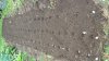 IMG-20181006-WA0013.jpg