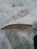 20121208_144703.jpg