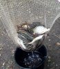 20181006_172946.jpg