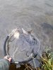 20181006_131455.jpg