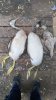 IMG-20181012-WA0025.jpg