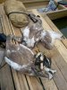 IMG-20181012-WA0051.jpg