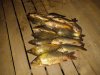 IMG-20181012-WA0055.jpg