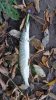 IMG-20181014-WA0018.jpg