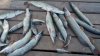 IMG-20181013-WA0001.jpg