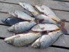 IMG-20181013-WA0007.jpg