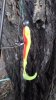 IMG-20181012-WA0015.jpg
