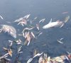 IMG_20181020_084504.jpg