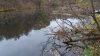 IMG-20181021-WA0021.jpg