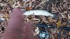 IMG-20181021-WA0010.jpg