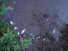 DSC00365.jpg