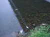 DSC00368.jpg