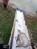 IMG-20181024-WA0012.jpg