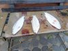 IMG-20181024-WA0037.jpg