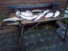 IMG-20181024-WA0032.jpg