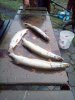 IMG-20181024-WA0028.jpg