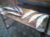 IMG-20181024-WA0023.jpg