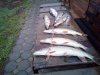 IMG-20181024-WA0019.jpg