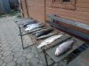 IMG-20181026-WA0018.jpg