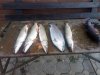 IMG-20181027-WA0024.jpg