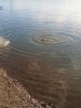 IMG-20181027-WA0019.jpg