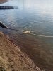 IMG-20181027-WA0018.jpg