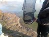 IMG-20181027-WA0014.jpg